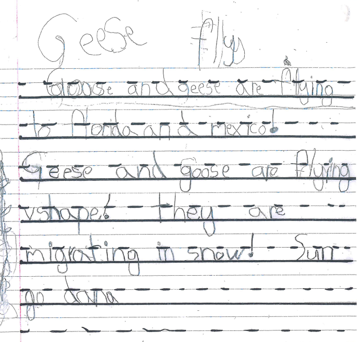 gr 1 geese writing